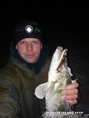 Изображение 10 : Ночная ловля судака со льда