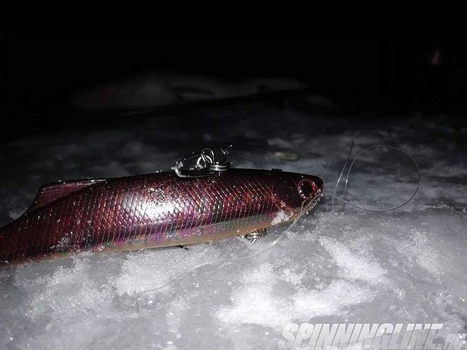 Изображение 23 : Ночная ловля судака со льда