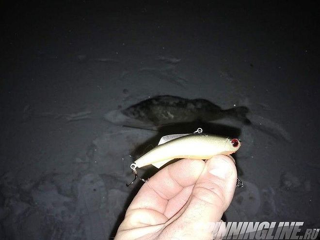 Изображение 26 : Ночная ловля судака со льда