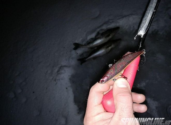 Изображение 41 : Ночная ловля судака со льда